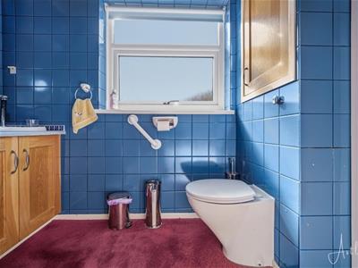 Picture 20